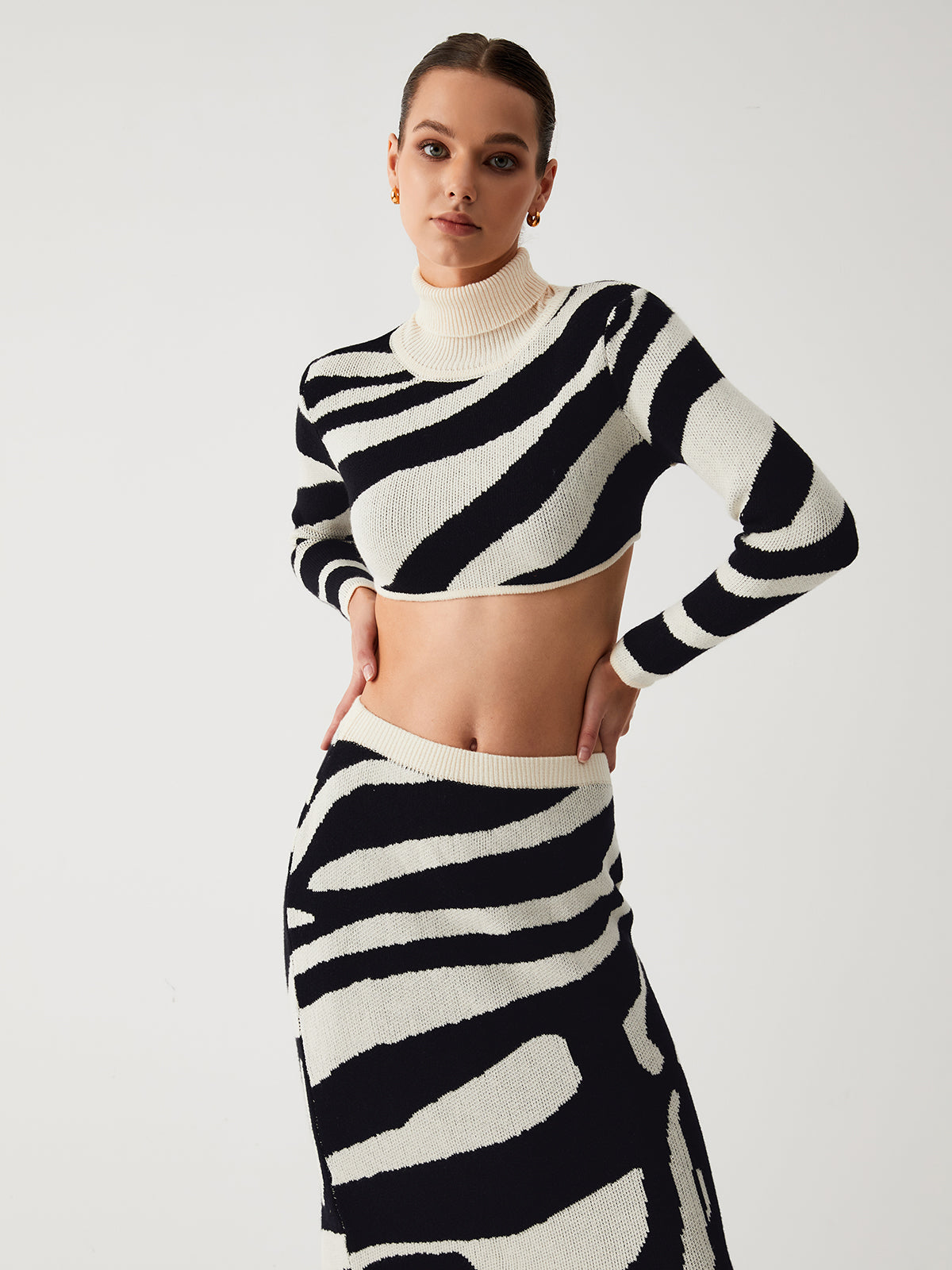 Zebra Print Mock Neck Crop Top Two Piece Skirt Set