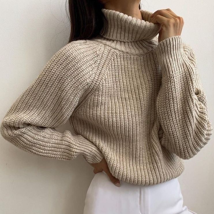 Vlogger Turtleneck Knitted Sweater