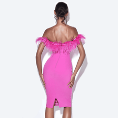 Dancing On Air Pink Feather Corset Midi Dress