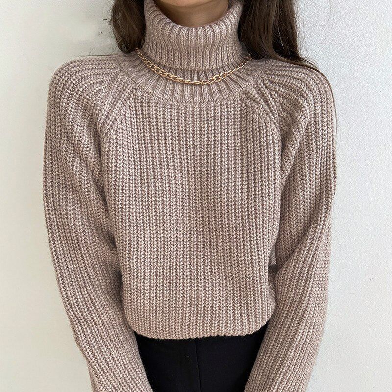 Vlogger Turtleneck Knitted Sweater