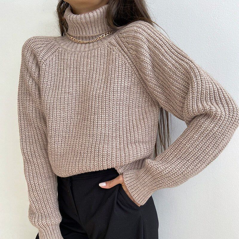 Vlogger Turtleneck Knitted Sweater