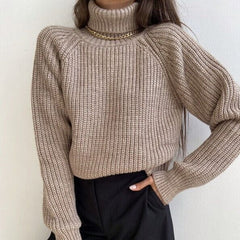 Vlogger Turtleneck Knitted Sweater