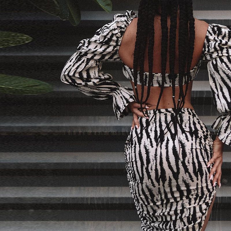 Delightful Zebra Tie Front Two Piece Set