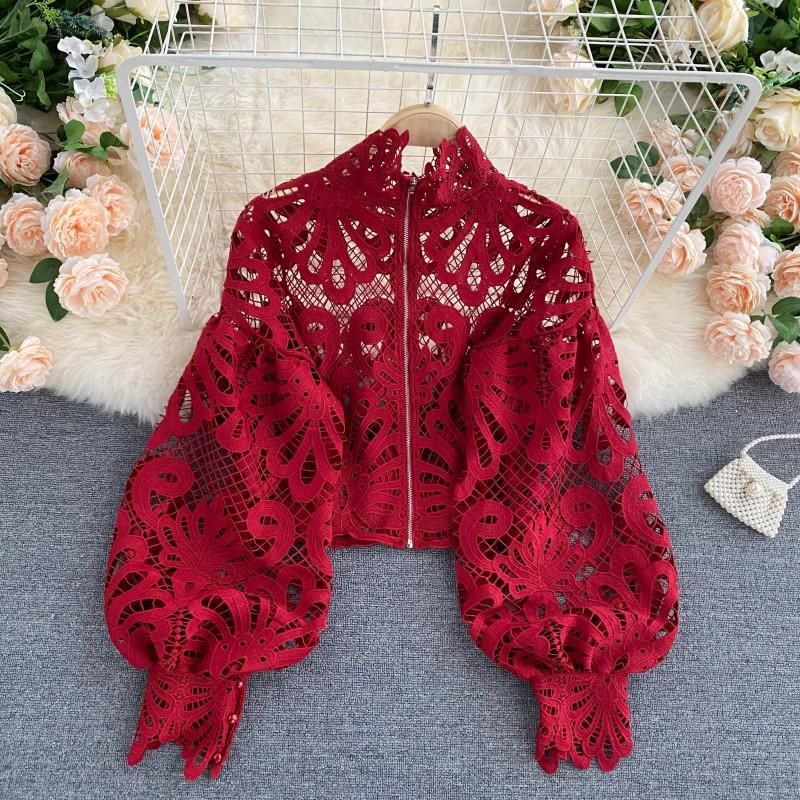 Season For Lace Lantern Sleeve Blouse