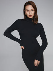 Long Sleeve Turtleneck Dress