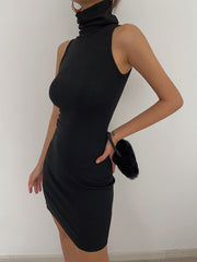 Solid Bodycon Turtleneck Midi Dress