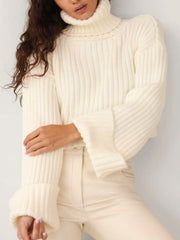 High Standard Turtleneck Crop Sweater