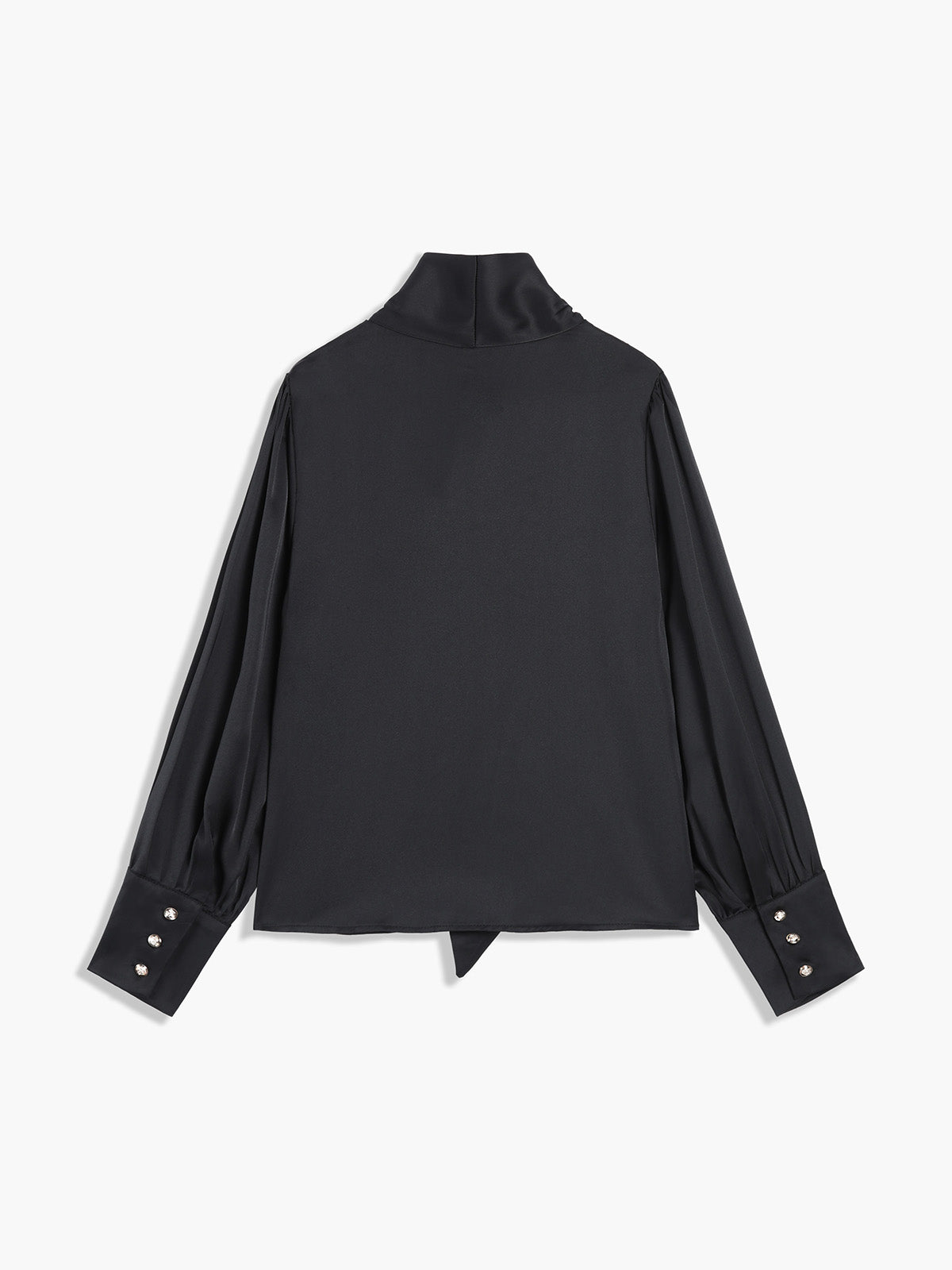 Tied Neckline Long Sleeve Shirt